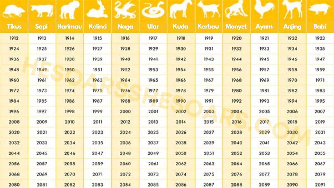The 12 Chinese Zodiac Signs: Symbols and Characteristics